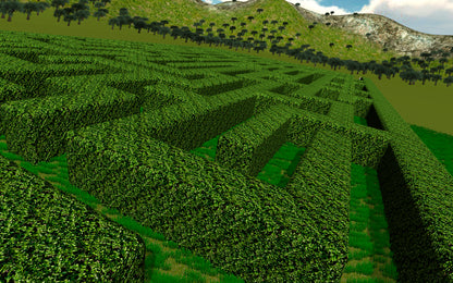 Labyrinth Simulator