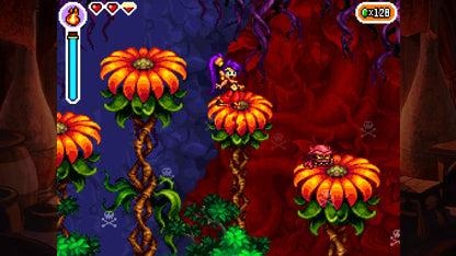Shantae: Risky's Revenge - Director's Cut