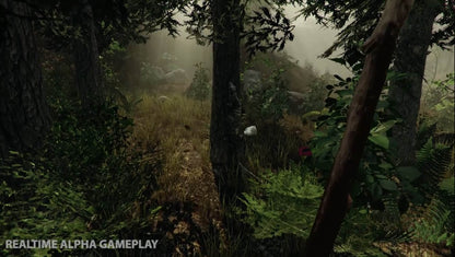 The Forest