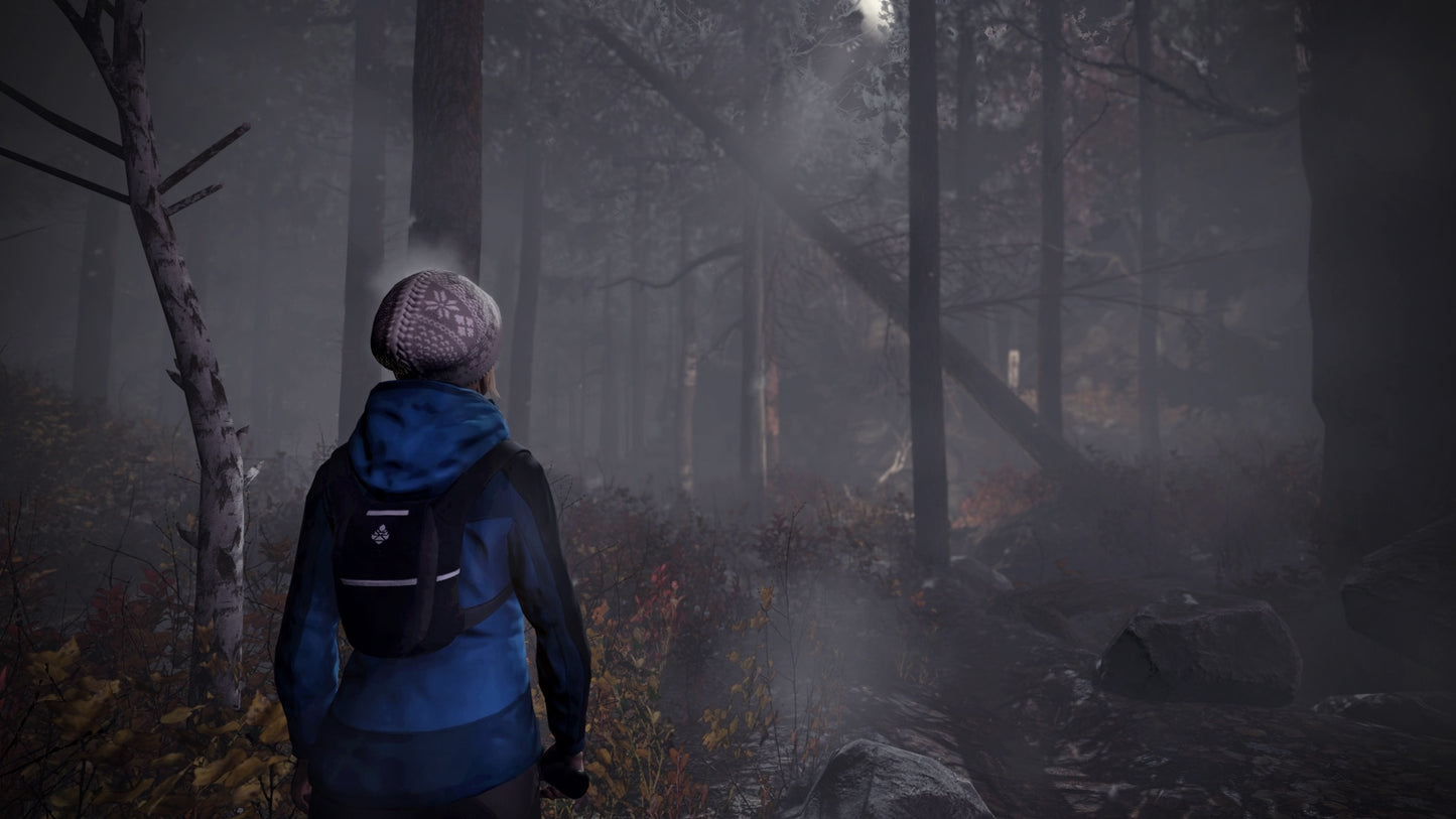 Through the Woods