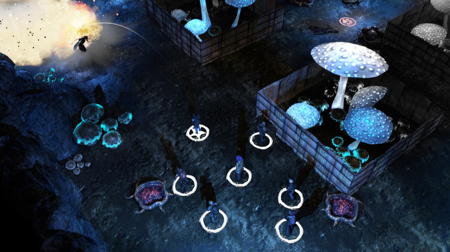 Wasteland 2 (EU)