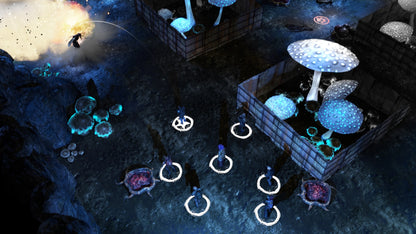 Wasteland 2 (EU)