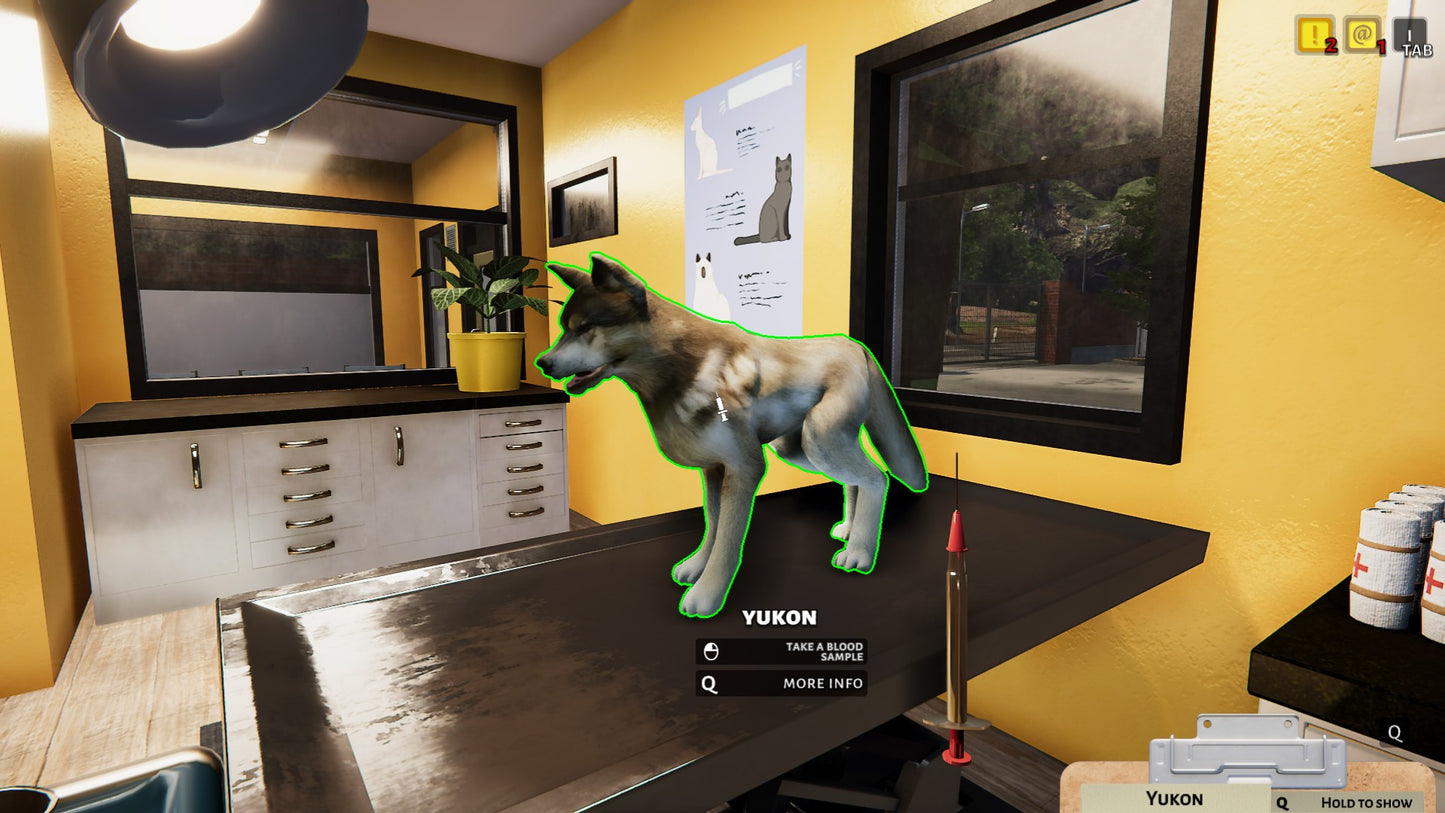 Animal Shelter (Steam)