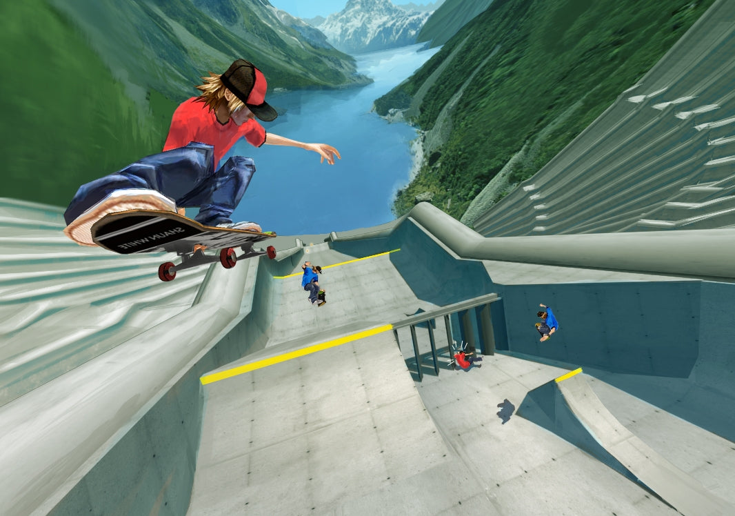 Shaun White Skateboarding