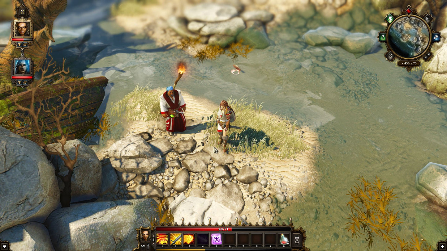 Divinity Original Sin (Enhanced Edition) (GOG)