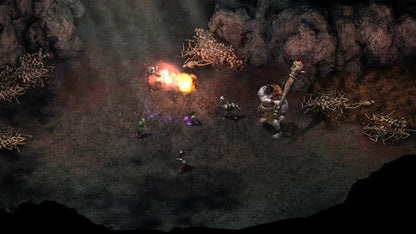 Pillars of Eternity (Royal Edition)
