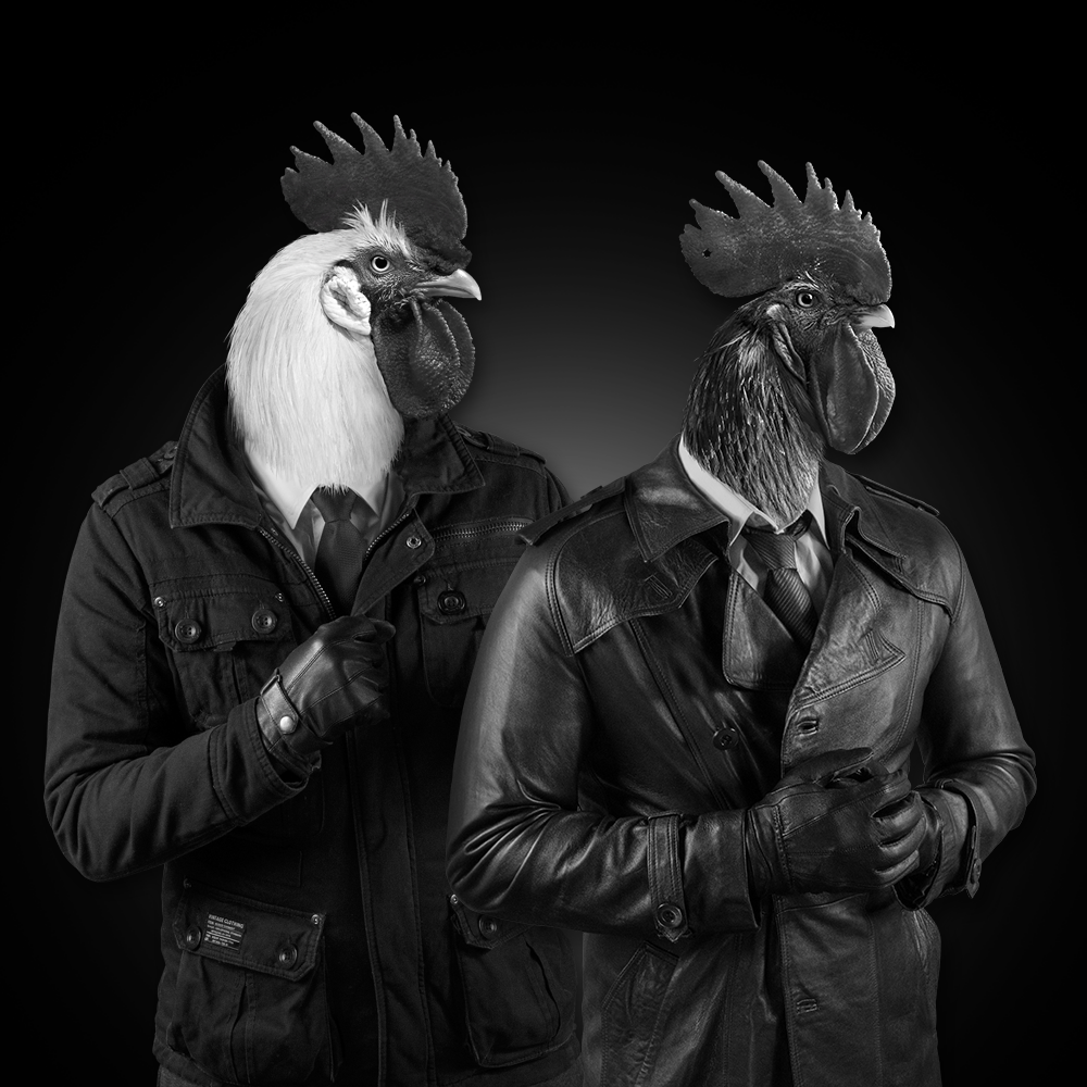 Chicken Police