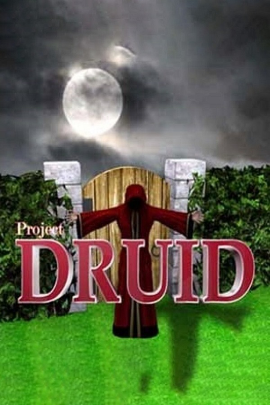 Project Druid - 2D Labyrinth Explorer
