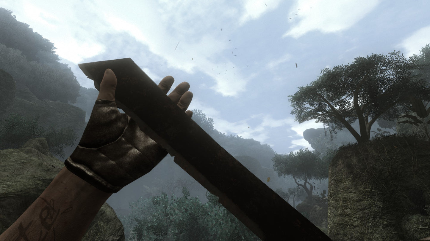 Far Cry 2 (Fortune's Edition)
