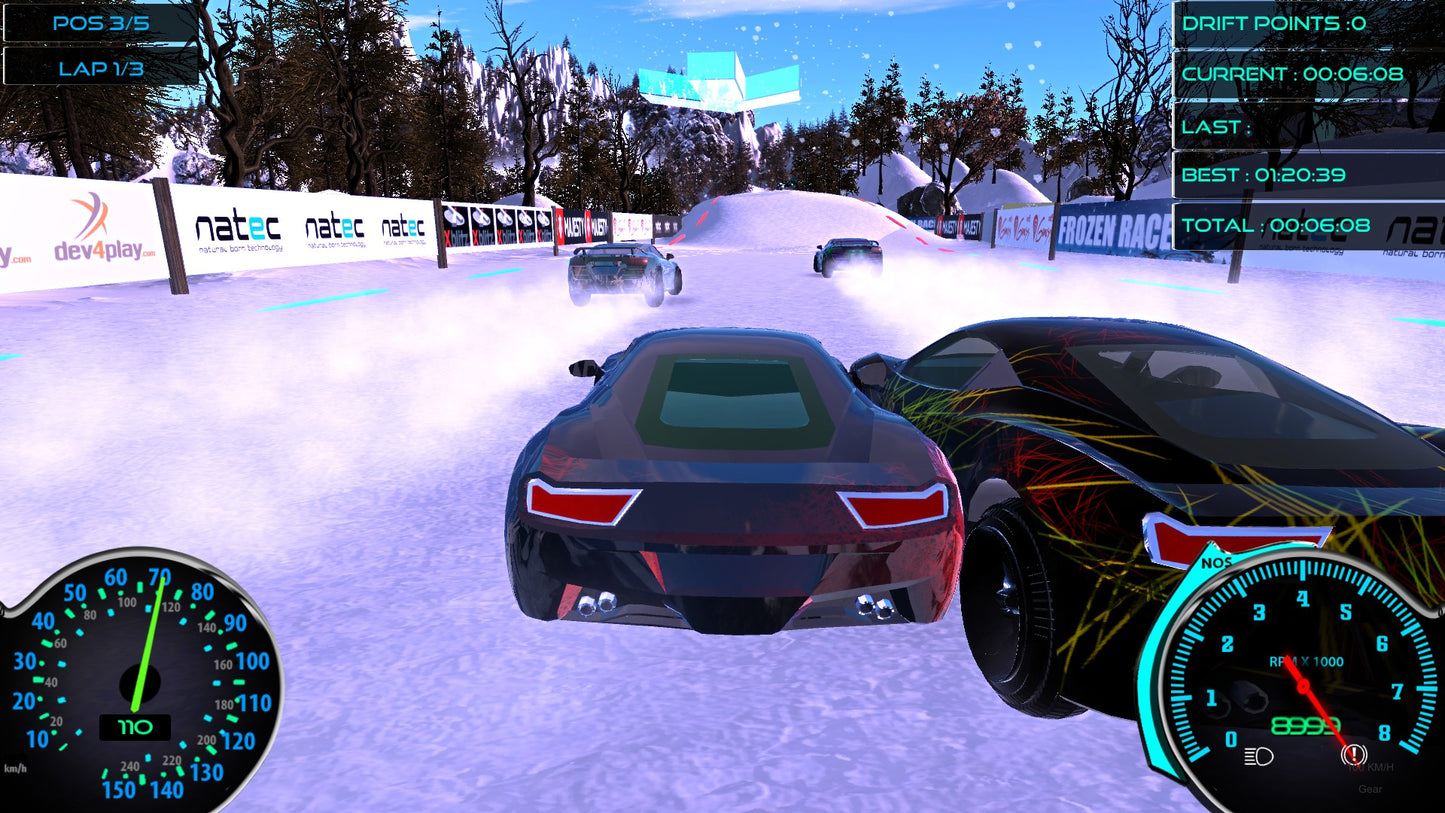 Frozen Drift Race
