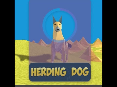 Herding Dog
