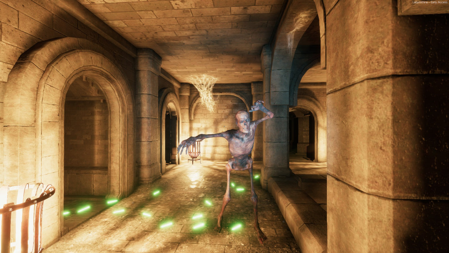 Labyrinthine