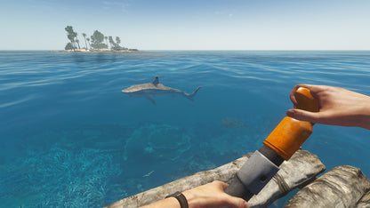 Stranded