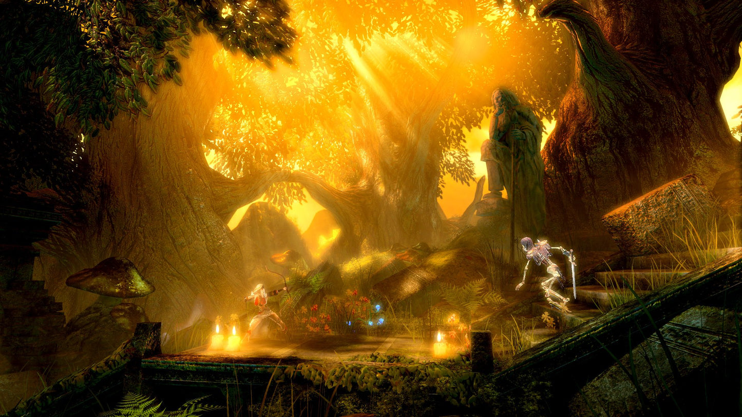 Trine (Enchanted Edition)
