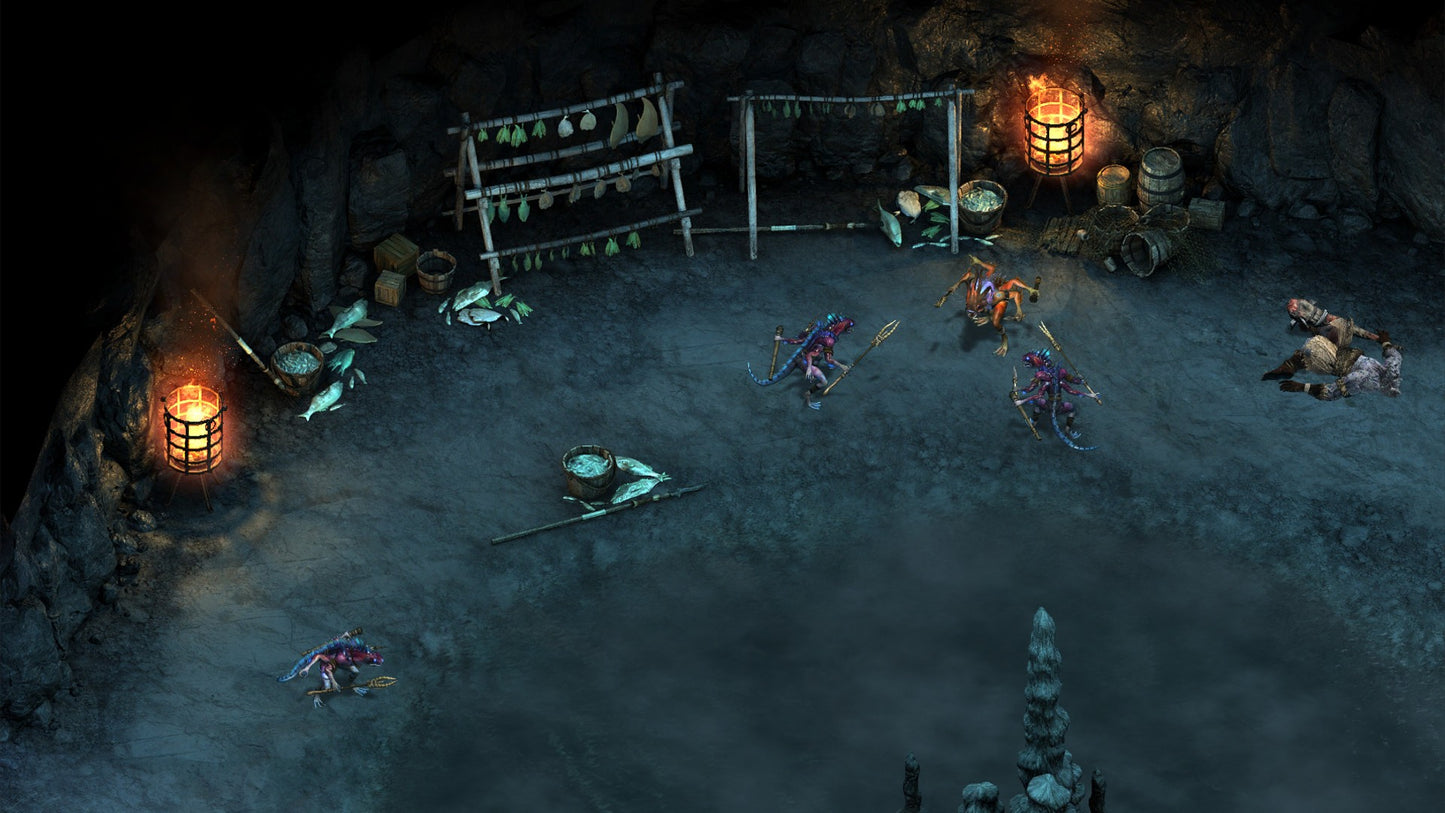Pillars of Eternity - The White March Part I (DLC)