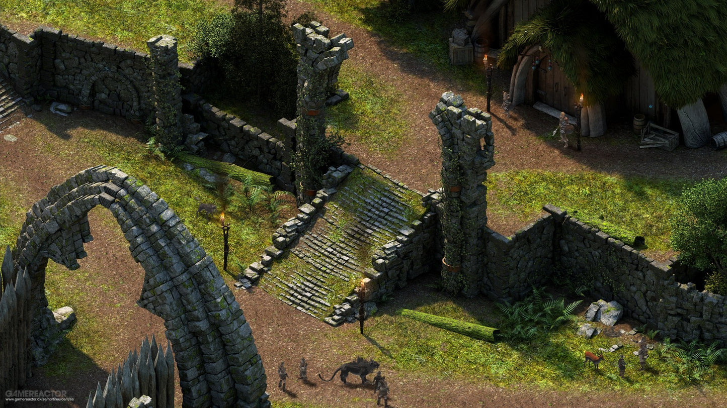 Pillars of Eternity Definitive Edition (EU)
