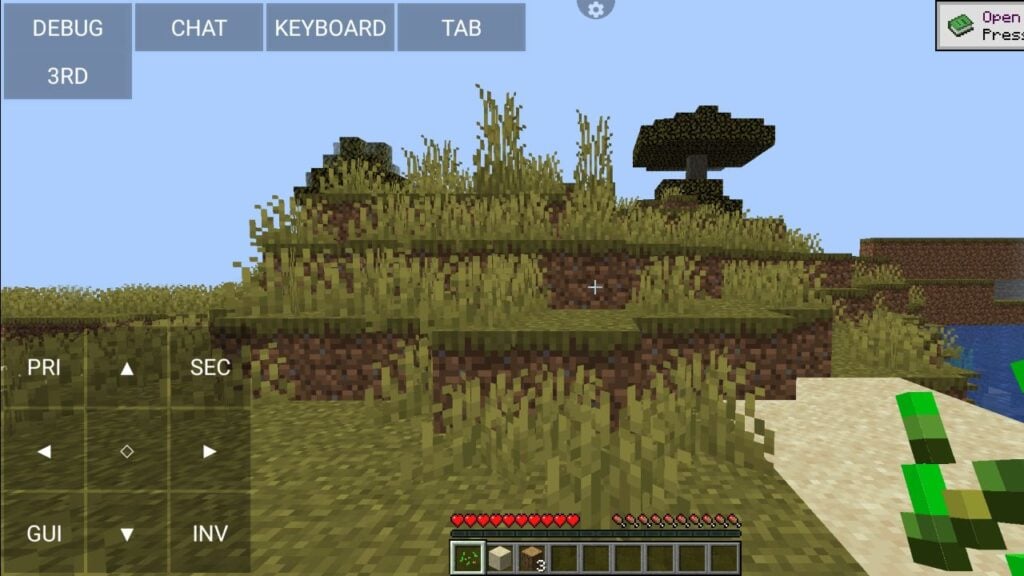 Minecraft (Java Edition)