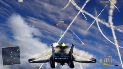 Project Wingman