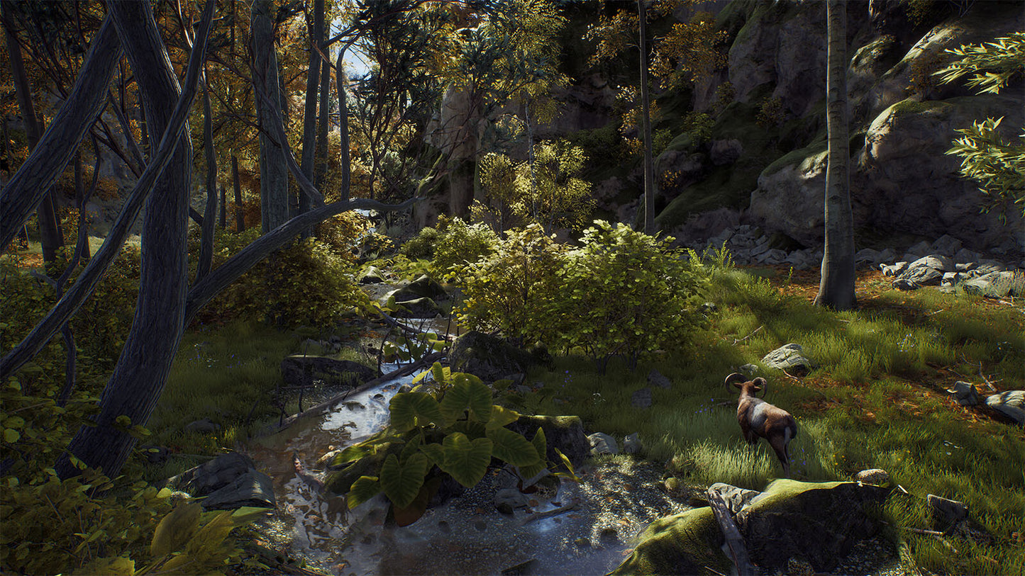 Way of the Hunter (Elite Edition) (Steam)