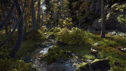 Way of the Hunter (Elite Edition) (Steam)