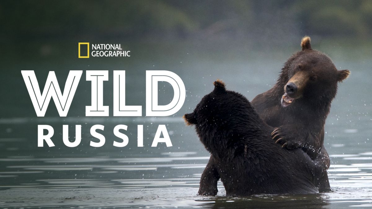 Wild Russia Steam CD Key