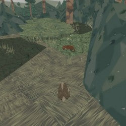 Shelter