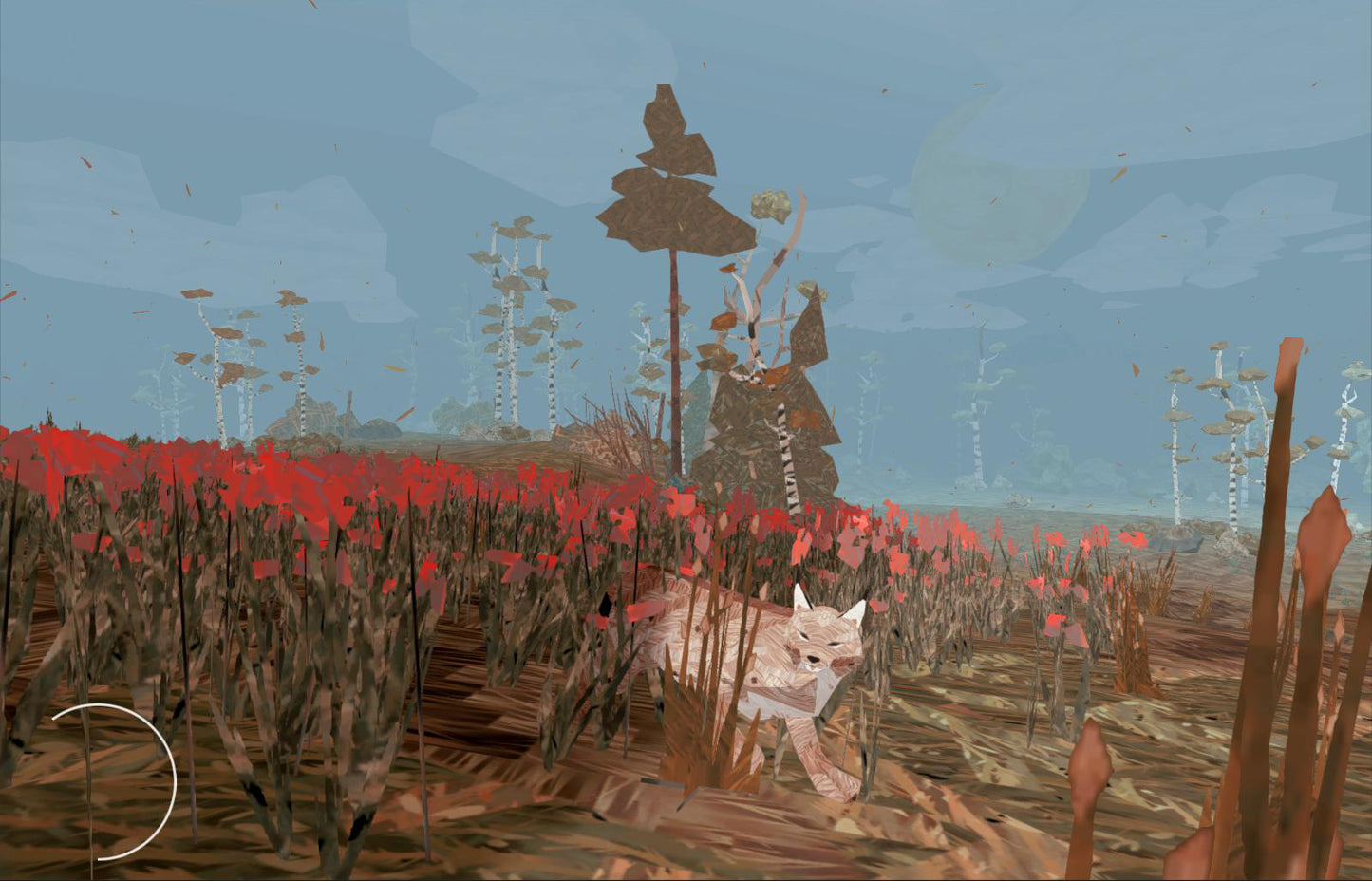 Shelter - The Heart Edition