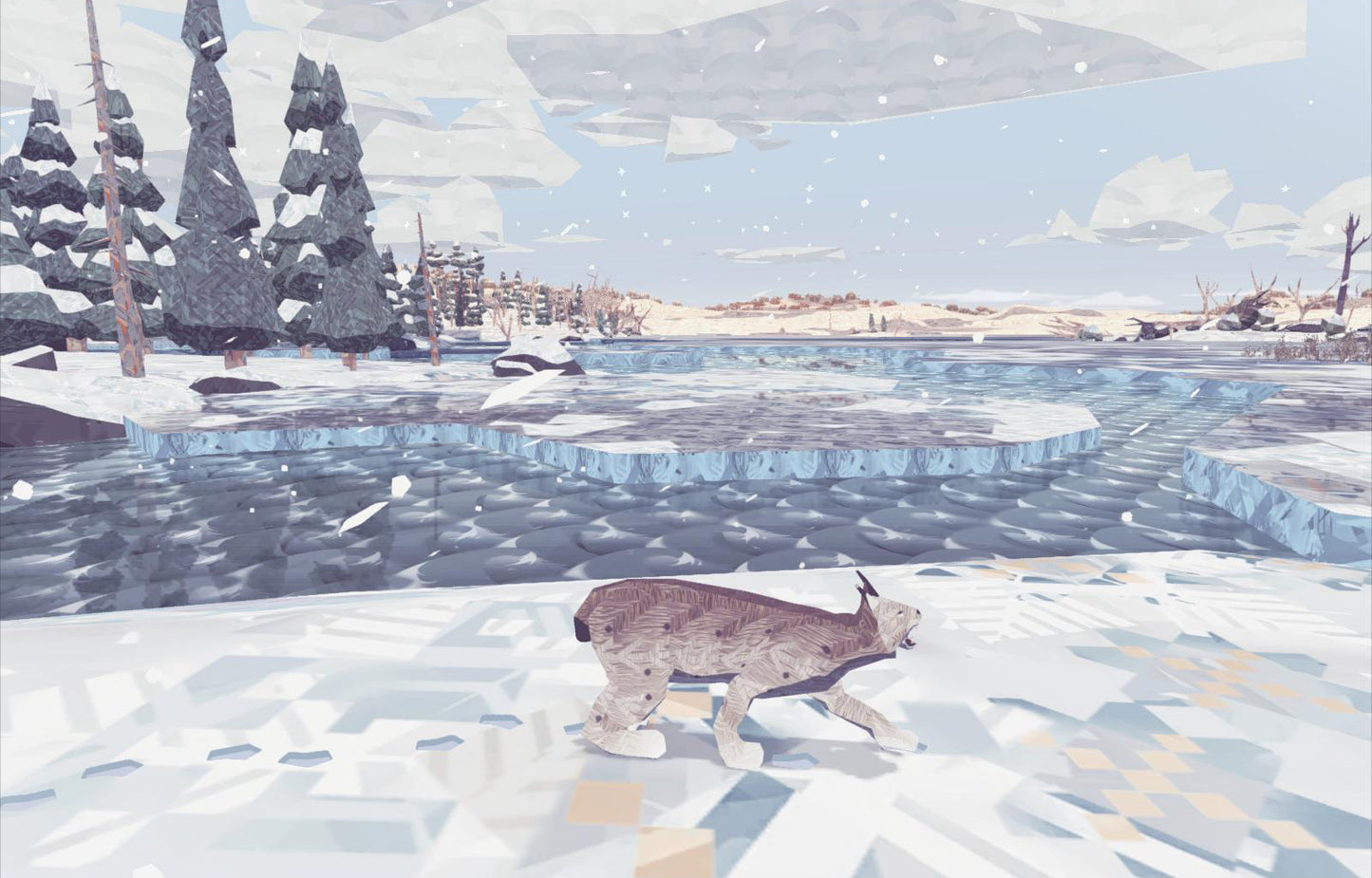 Shelter - The Heart Edition