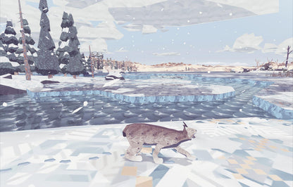 Shelter - The Heart Edition