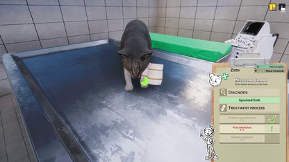 Animal Shelter: Vet Clinic (Steam)