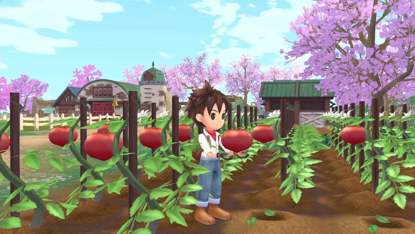 Story of Seasons: A Wonderful Life