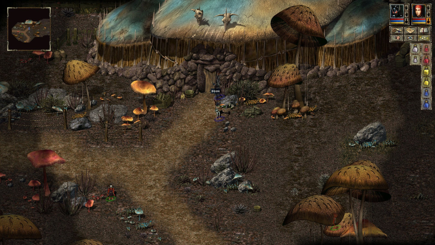 Beyond Divinity Steam Key GLOBAL