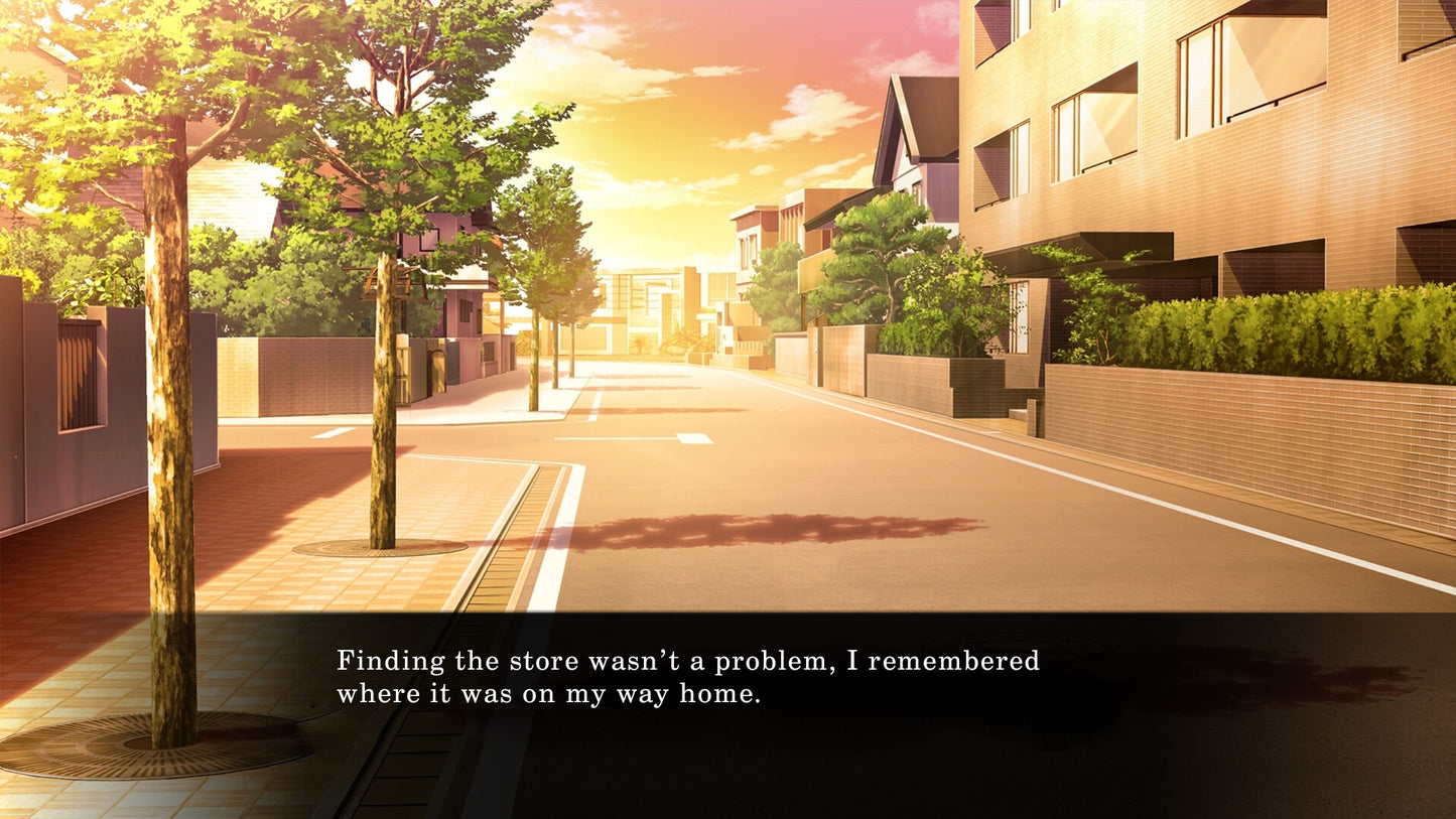 My Summer Adventure: Memories of Another Life