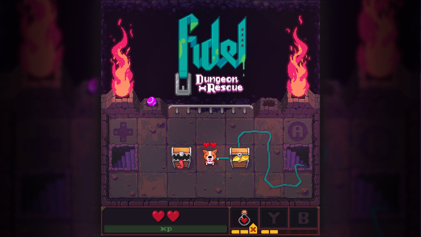 Fidel Dungeon Rescue