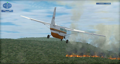 FSX Steam Edition: Fair Dinkum Flights Add-On (DLC)