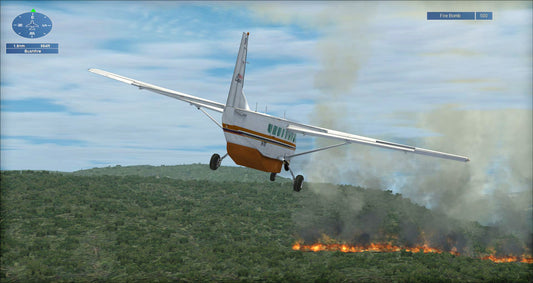 FSX Steam Edition: Fair Dinkum Flights Add-On (DLC)