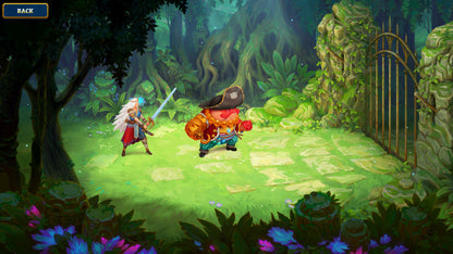 Roguebook - Heroes Skins Pack (DLC) (Steam)