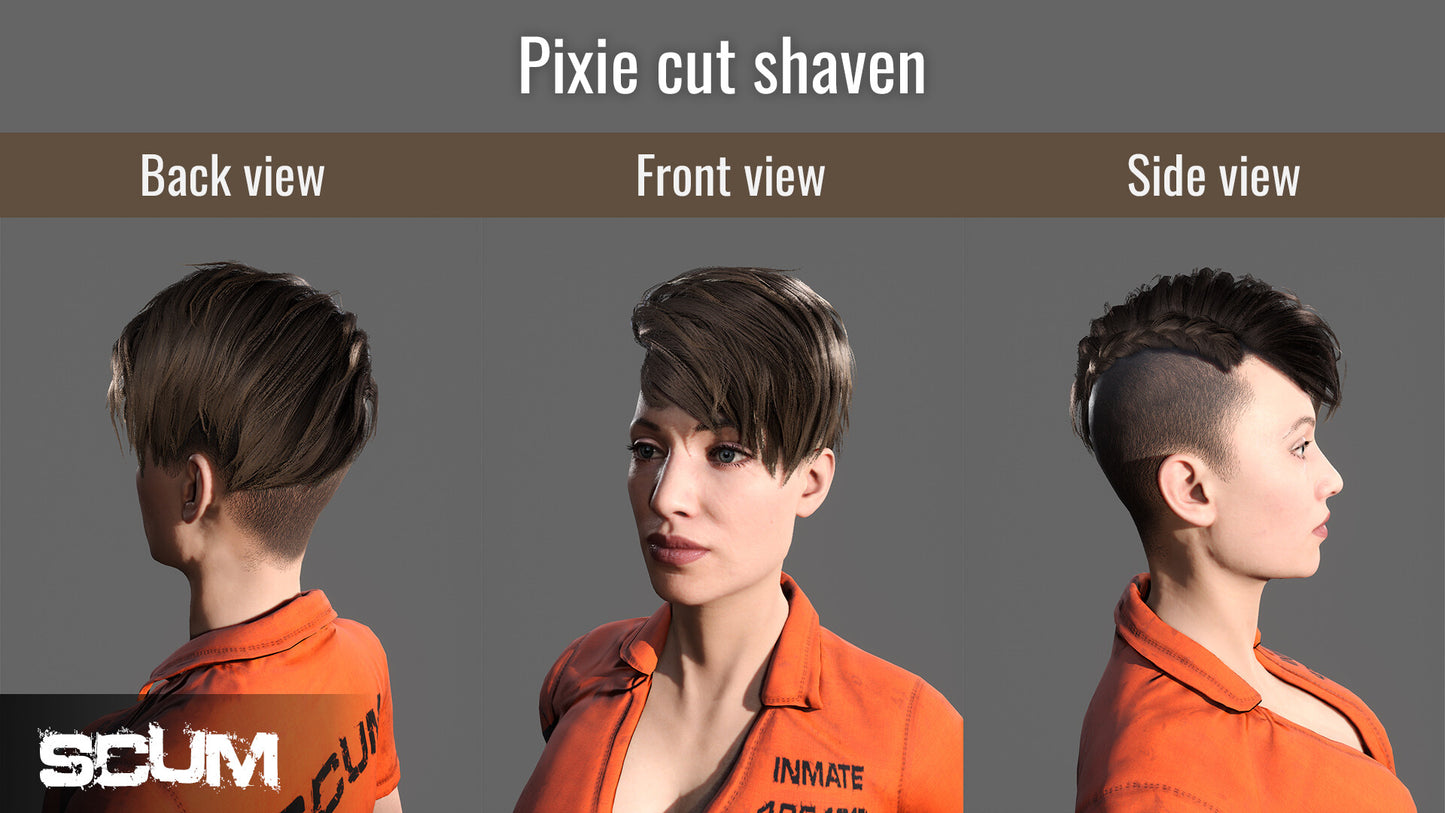 SCUM Female Hair Pack DLC