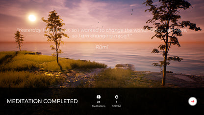 PLAYNE : The Meditation Game