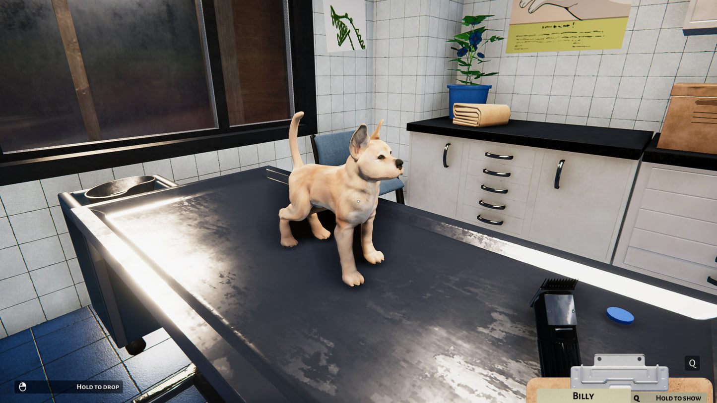 Animal Shelter (Steam)