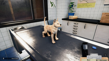 Animal Shelter (Steam)