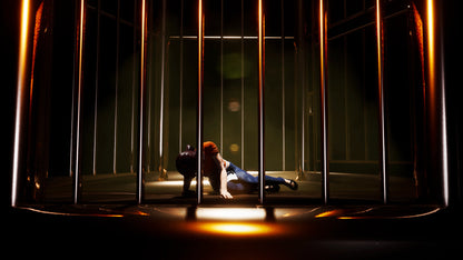 Of Bird and Cage