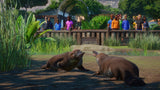 Planet Zoo: Wetlands Animal Pack (DLC)