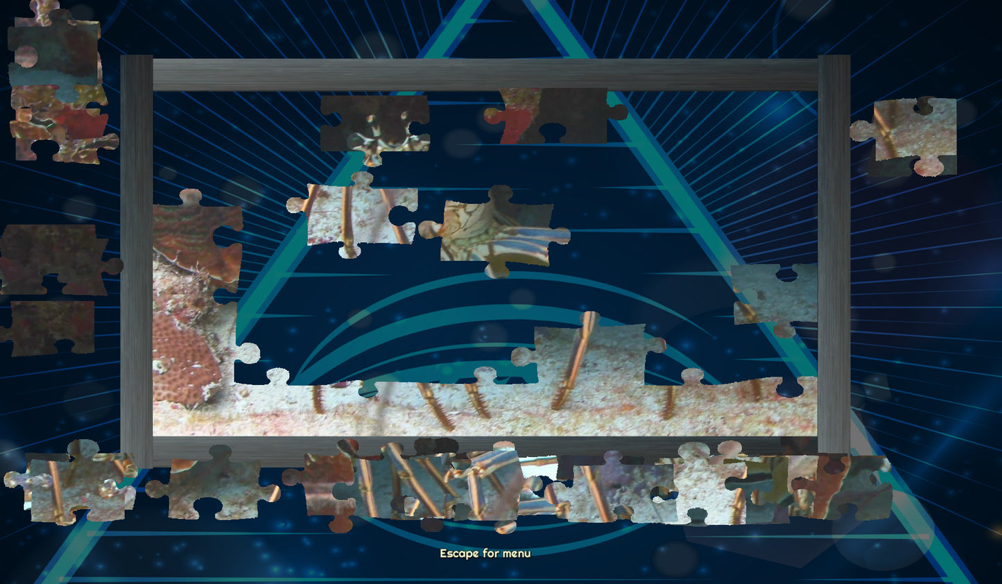 Trials of the Illuminati: Sea Creatures Jigsaw