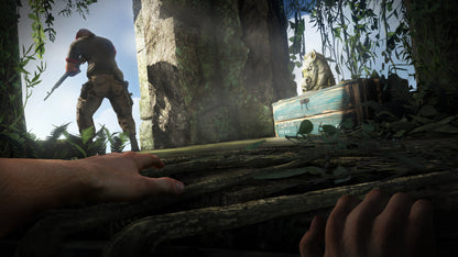 Far Cry 3 (Deluxe Edition)