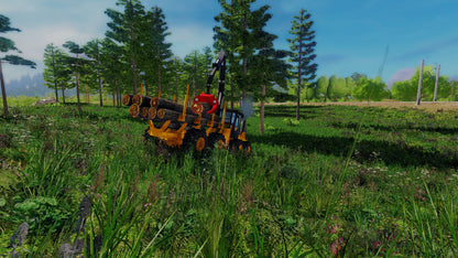 Professional Lumberjack 2015