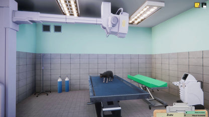 Animal Shelter - Vet Clinic (DLC) (Steam)