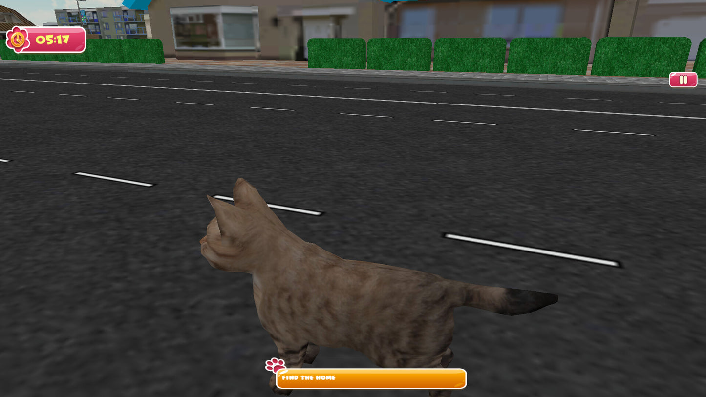 City of Cats (Steam)