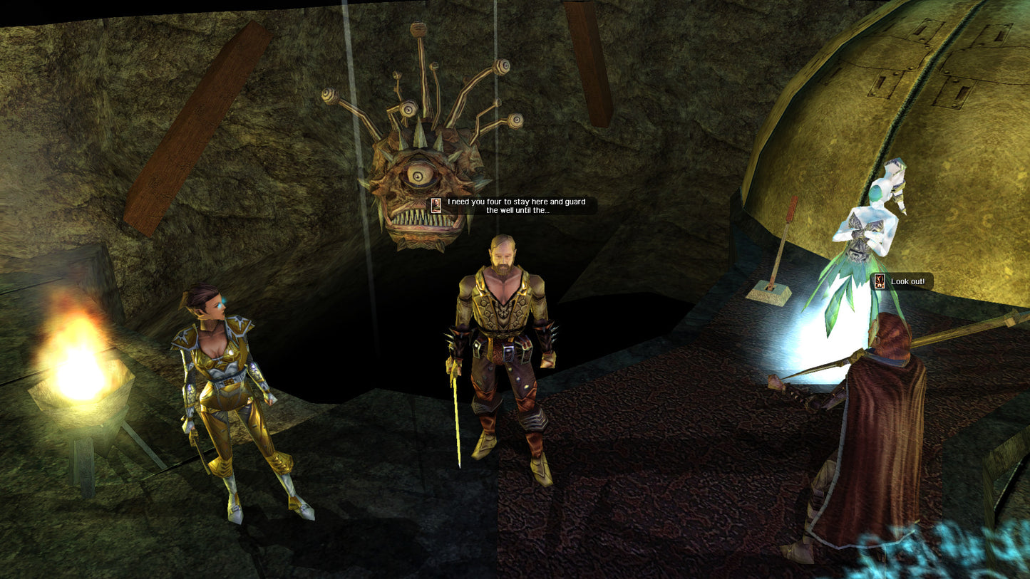 Neverwinter Nights: (Enhanced Edition)