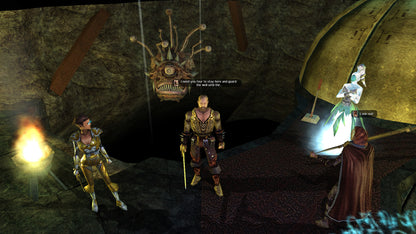 Neverwinter Nights: (Enhanced Edition)